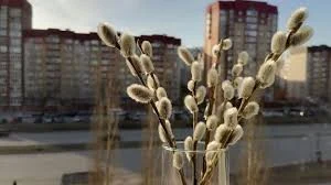 Вербное воскресение Вербное воскресение